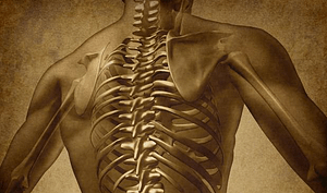 Back Pain Article