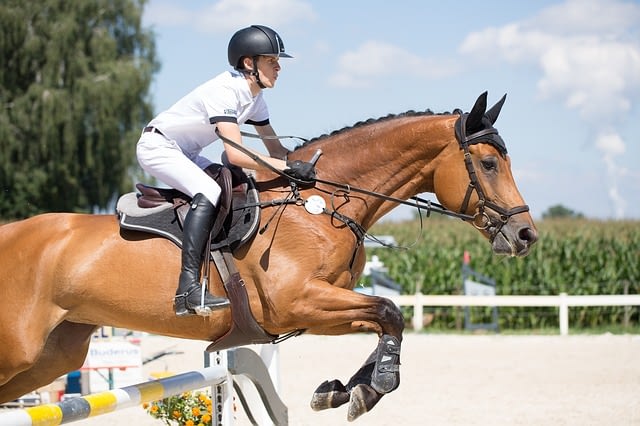 Physiotherapy Horse Riding Image Physiotherapy | Horse Riding
